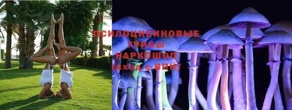 прущая мука Богородицк