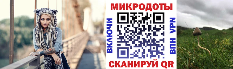 Псилоцибиновые грибы ЛСД Нерюнгри