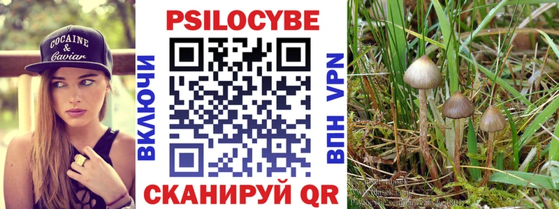 Галлюциногенные грибы Psilocybine cubensis  сайты даркнета клад  Нерюнгри 